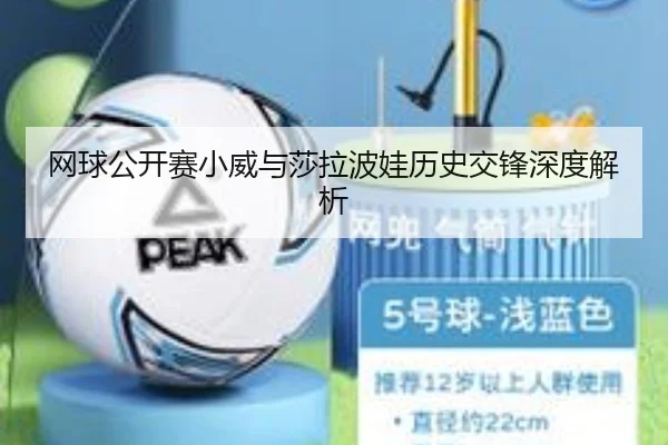 网球公开赛小威与莎拉波娃历史交锋深度解析